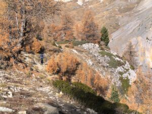 Queyras_Laurent_Montfort_ERL_7